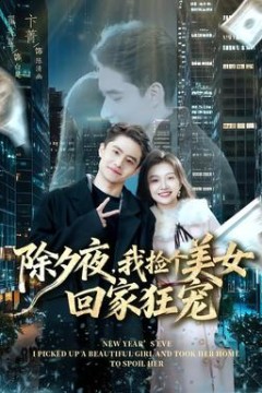 除夕夜，我捡个美女回家狂宠
