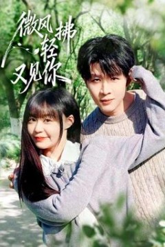 微风轻拂又见你