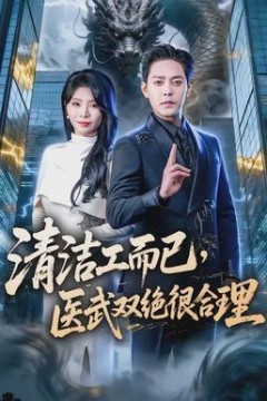 清洁工而已，医武双绝很合理