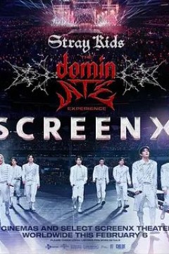 Stray Kids：主宰一切的体验