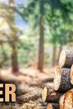 终极伐木达人第一季