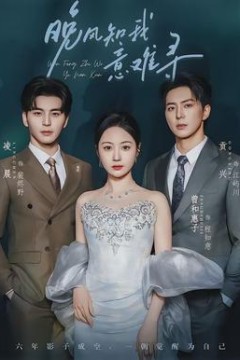 晚风知我意难寻