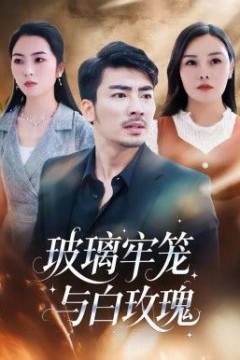 玻璃牢笼与白玫瑰