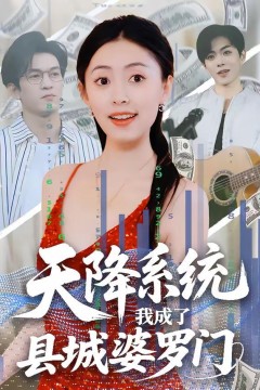 天降系统，我成了县城婆罗门