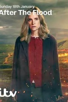 洪水之后第二季