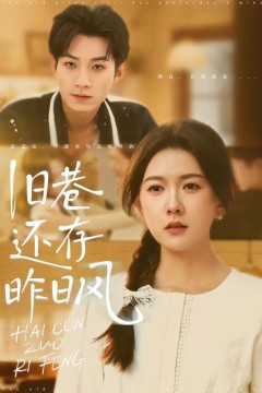 旧巷还存昨日风