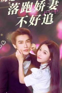 厉总的落跑娇妻不好追