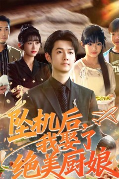 坠机后我娶了绝美厨娘