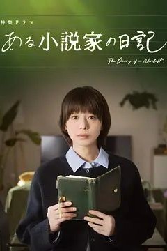 某小说家的日记