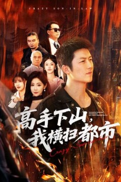 高手下山，我横扫都市