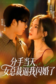 分手当天，女总裁逼我闪婚了