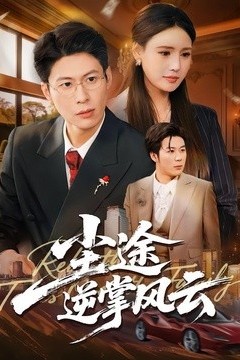 尘途逆掌风云