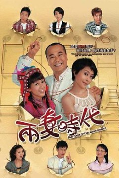 两妻时代国语版