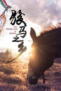 骏马之乡