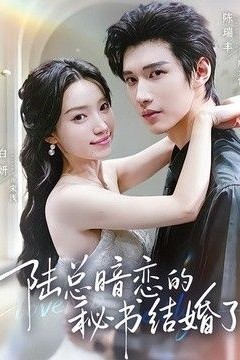 陆总暗恋的秘书结婚了