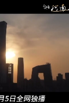 让爱回家