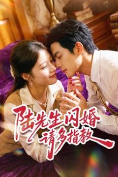 陆先生闪婚请多指教
