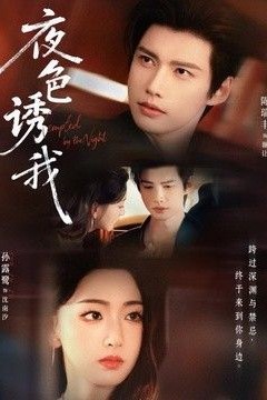 夜色诱我