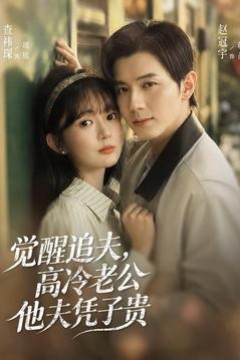 觉醒追夫，高冷老公他夫凭子贵