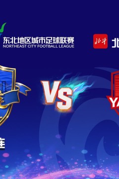 2026东北地区城市足球联赛第9轮全场回放：大连vs延边