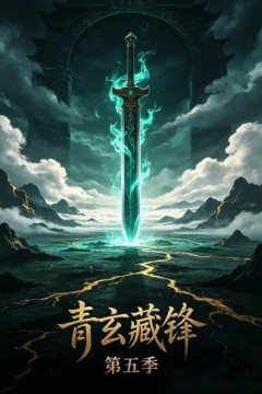 青玄藏锋第五季
