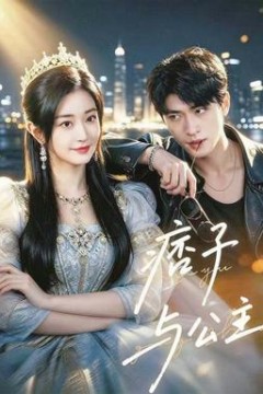 痞子与公主