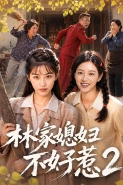 林家媳妇不好惹2