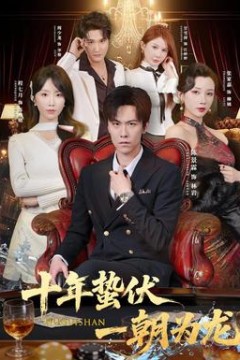 十年蛰伏，一朝为龙