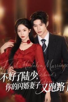 不好了陆少，你的闪婚妻子又跑路了