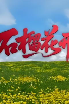 石榴花开