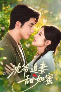 沈爷追妻甜如蜜