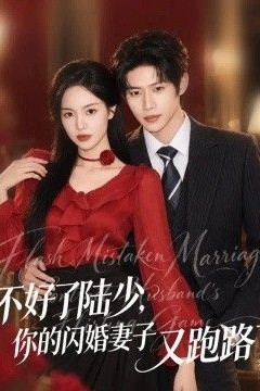 好了陆少，你的闪婚妻子又跑路了