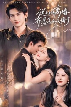 说好的离婚齐总怎么反悔了