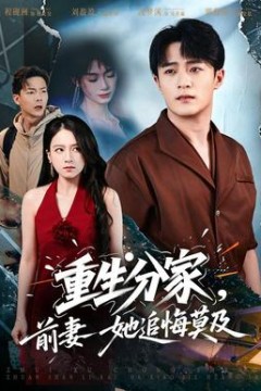 重生分家，前妻她追悔莫及