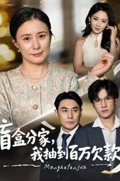 盲盒分家，我抽到百万欠款