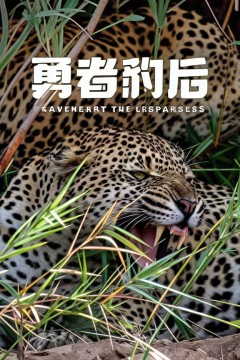 勇者豹后