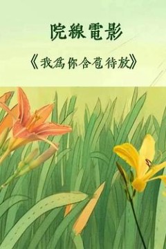 我为你含苞待放