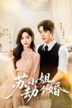 苏小姐，劫个婚