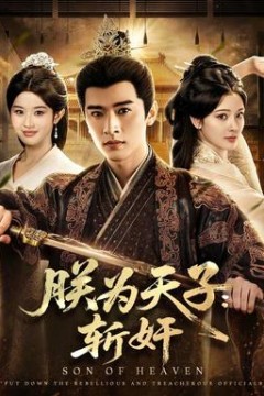 朕为天子：斩奸