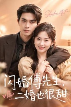 闪婚傅先生，二婚也很甜