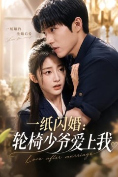 一纸闪婚：轮椅少爷爱上我