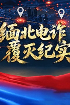 缅北电诈覆灭纪实