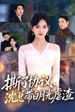 撕了协议，沈总带白月光虐渣