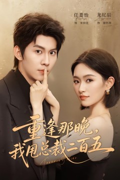 重逢那晚,我甩总裁二百五